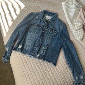 Vervet Distressed Denim Jacket